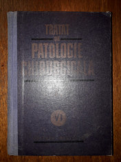 Patologia chirurgicala a abdomenului - E. Proca / C24P foto