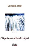 Cat pot esua ultimele zapezi - Cornelia Filip