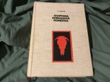 Anatomia Animaleor Domestice de V. Ghetie si colaboratori anul 1967 / 720 pagini plus planse !