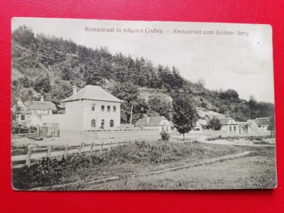 Restaurant la magura Codlea foto