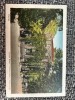 AKVDE24 - Buzias - Parcul, Circulata, Printata