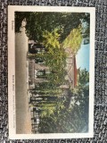 AKVDE24 - Buzias - Parcul, Circulata, Printata