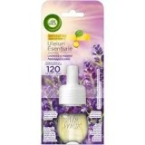 Rezerva odorizant electric Air Wick levantica si musetel, 19 ml