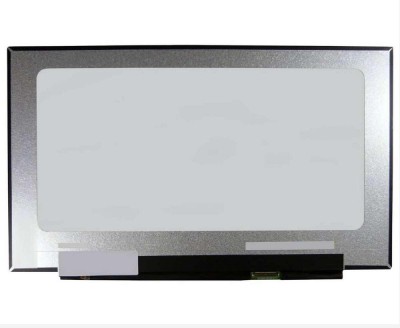Display laptop LG BOE NV173FHM-N47 Ecran 17.3 1920X1080, BOE NV173FHM-N49 Ecran 17.3 1920X1080 foto