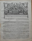 Ziarul Amiculu familiei , an 4 , nr. 28 , Gherla , 1880