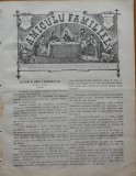 Cumpara ieftin Ziarul Amiculu familiei , an 4 , nr. 28 , Gherla , 1880