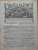 Ziarul Amiculu familiei , an 4 , nr. 28 , Gherla , 1880