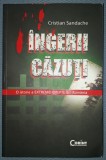 Ingerii Cazuti - Cristian Sandache, Ed. Corint 2010, Istorie, Viata publica si intima a lui Carol