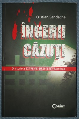 CRISTIAN SANDACHE - INGERII CAZUTI foto