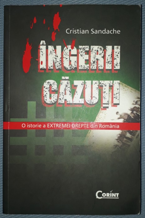 CRISTIAN SANDACHE - INGERII CAZUTI