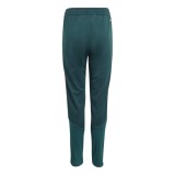 Real Madrid pantaloni de copii Tiro aurora - 164