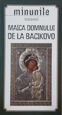 Minunile icoanei. Maica Domnului de la Bacikovo