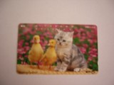 B11 22 - Carduri si cartele telefonice - Japonia - Pisici - piesa de colectie