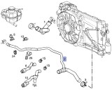 Furtun radiator Opel Astra G 1998-2009, diametru 20/30/33 mm, cauciuc, RapidAuto 5508PW-2