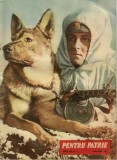 Z1012N Pentru Patrie, 1/1955