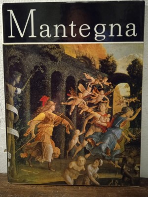 MANTEGNA foto