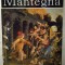 MANTEGNA