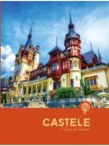 Cumpara ieftin Castele. O lume fascinanta/***