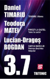 3.7. Povestiri - Daniel Timariu, Teodora Matei, Lucian-Dragos Bogdan, 2022