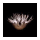 A Thousand Rainbows | Lia Chavez