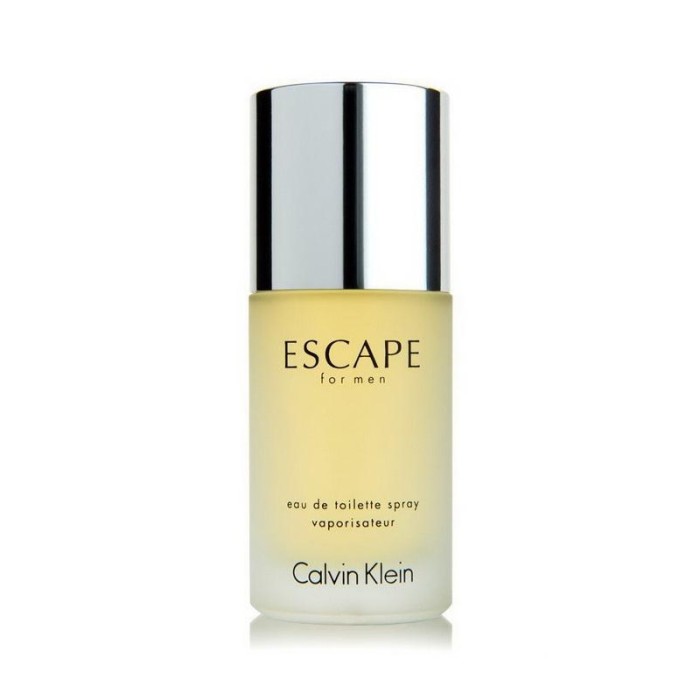 Calvin Klein Escape EDT 100 ml