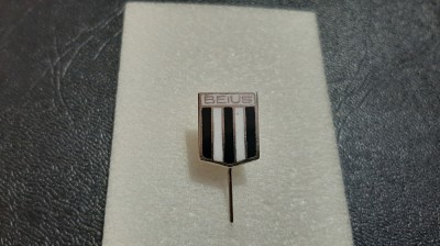 Insigna Gloria Beius foto