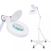 Gossi lampa cu lupa, cu picior