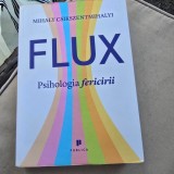 Flux. Psihologia fericirii - Mihaly Csikszentmihalyi