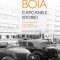 Capcanele istoriei. Elita intelectuala romaneasca intre 1930 si 1950 - L. Boia