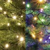 Ghirlanda cu LED-uri, DUAL COLOR