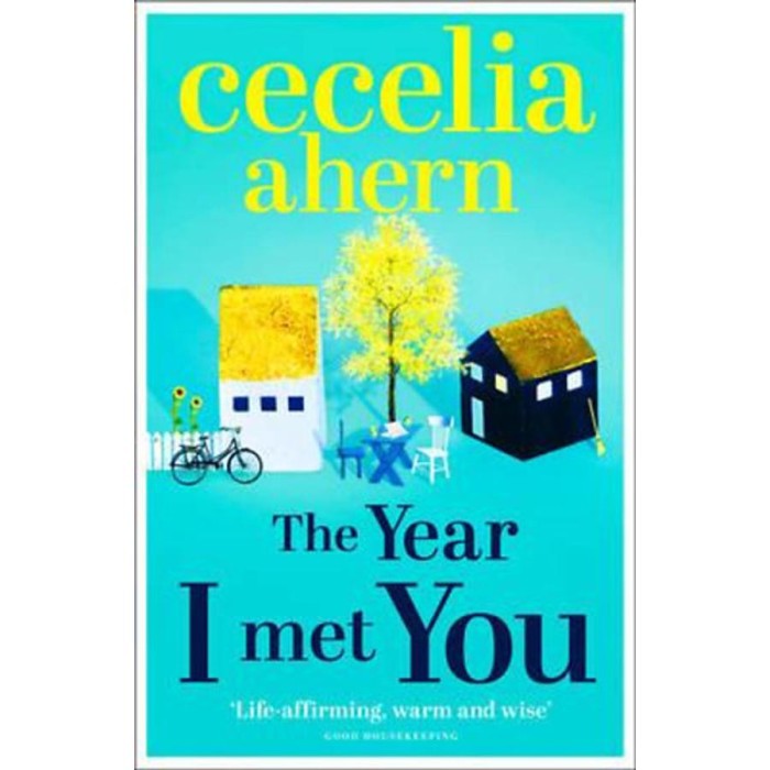 The Year I Met You - Cecelia Ahern