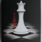 Zori de zi &ndash; Stephenie Meyer