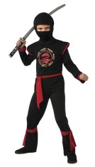 Costum de carnaval - Ninja Dragon PlayLearn Toys