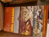 Răul Jarama vintage