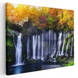 Tablou peisaj cascada Shiraito Japonia Tablou canvas pe panza CU RAMA 30x40 cm