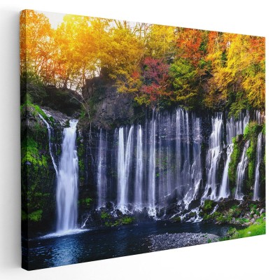 Tablou peisaj cascada Shiraito Japonia Tablou canvas pe panza CU RAMA 60x80 cm foto