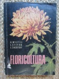 Floricultura Militiu Stefan Sadofsky 1962 Agro-Silvica: Carte Agronomie Flori 434pg