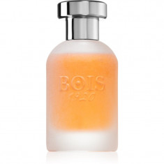 Bois 1920 Come L'Amore Eau de Parfum unisex 100 ml