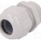 Presetupa poliamida, PG21, IP68, LAPP - 53018150