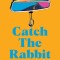 Catch the Rabbit