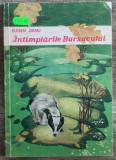 Intamplarile Bursucului - Eugen Jianu, Ilustratii Francisc Kalab, Editura Ion Creanga, 1972, Carte Copii, Povesti