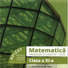 Matematica. Probleme si exercitii. Teste - Clasa 11 - Marius Burtea, Georgeta Burtea