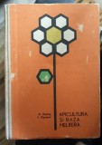 APICULTURA SI BAZA MELIFERA - V. PETRUS