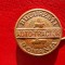 INSIGNA BRONZ AUTO-TRACTOR BUCURESTI ROMANIA Insigna RSR 1970