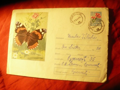 Plic ilustrat - Fluture cod 201/64 foto