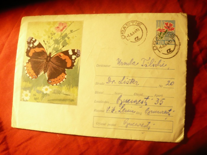 Plic ilustrat - Fluture cod 201/64