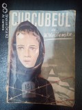 Curcubeul-W.Wasilewska