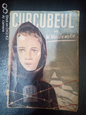 Curcubeul-W.Wasilewska foto