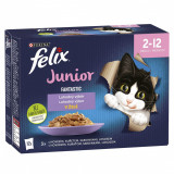 Felix Fantastic Junior selecție delicioasă 12 x 85 g