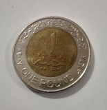 Egipt - 1 Pound 2007 - L5